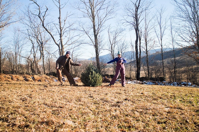 pm upstate adventure planting our christmas tree - Article 1